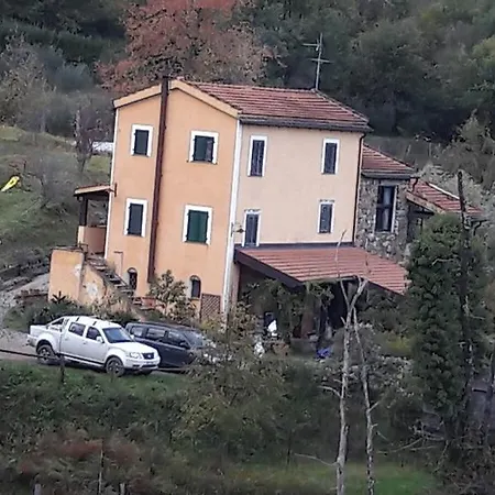 L'erba Persa