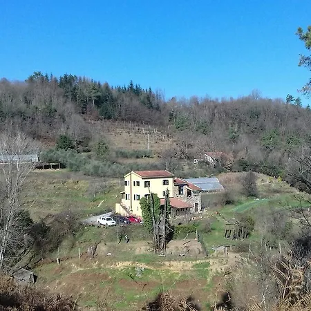 L'erba Persa