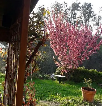 L'erba Persa Beverino