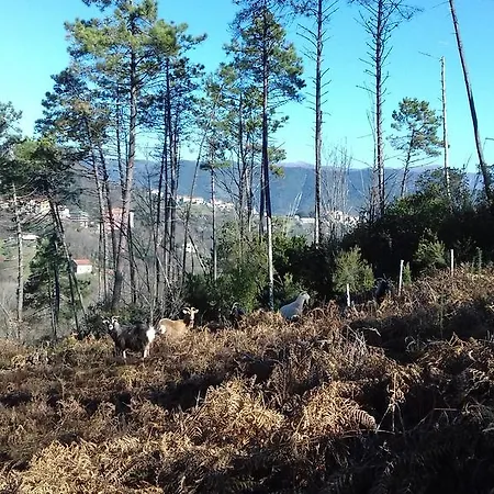 L'erba Persa *