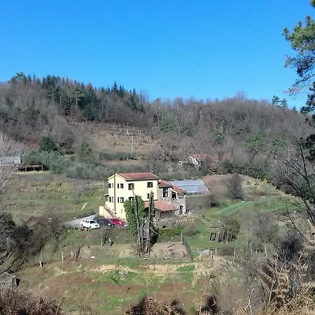 L'erba Persa Beverino