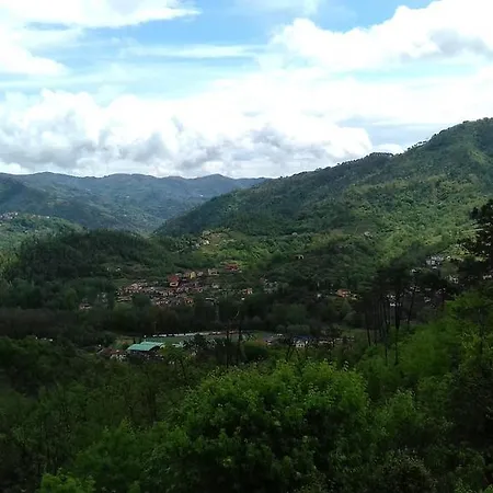 Lantgård L'erba Persa *