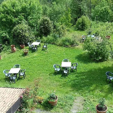 L'erba Persa