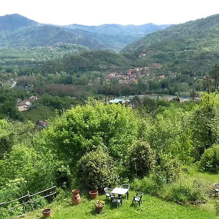 L'erba Persa *